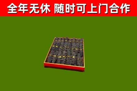 黄陵县回收海参